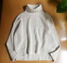 Sweater 0013